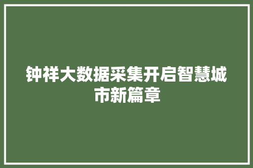 钟祥大数据采集开启智慧城市新篇章