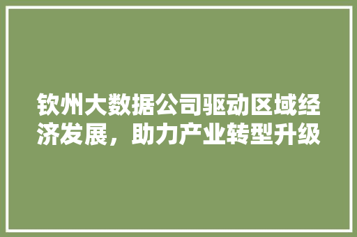 钦州大数据公司驱动区域经济发展，助力产业转型升级