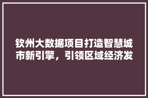 钦州大数据项目打造智慧城市新引擎，引领区域经济发展