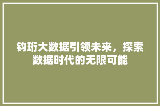 钧珩大数据引领未来，探索数据时代的无限可能