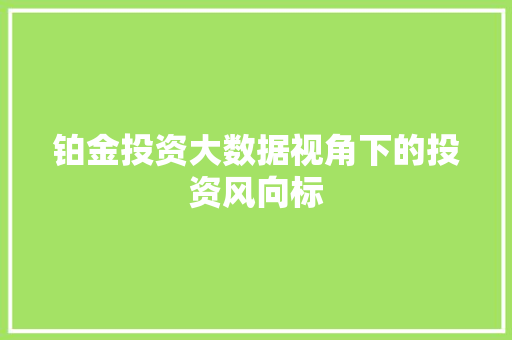 铂金投资大数据视角下的投资风向标