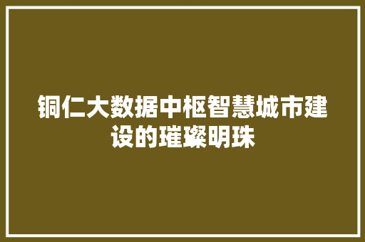 铜仁大数据中枢智慧城市建设的璀璨明珠