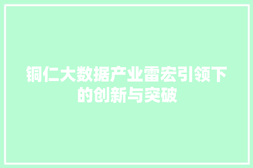 铜仁大数据产业雷宏引领下的创新与突破
