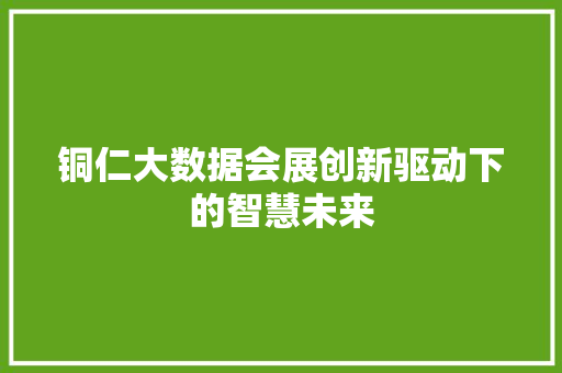 铜仁大数据会展创新驱动下的智慧未来