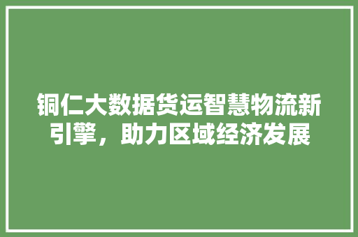 铜仁大数据货运智慧物流新引擎，助力区域经济发展