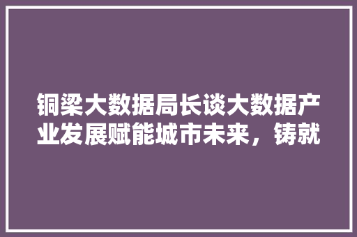 铜梁大数据局长谈大数据产业发展赋能城市未来，铸就智慧新篇 建站教程
