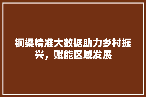 铜梁精准大数据助力乡村振兴，赋能区域发展