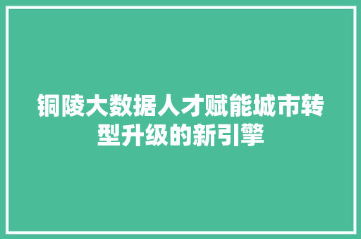 铜陵大数据人才赋能城市转型升级的新引擎