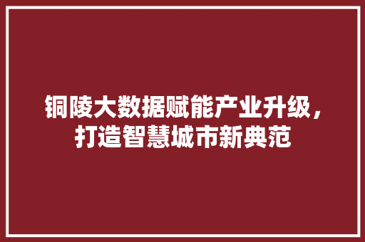 铜陵大数据赋能产业升级，打造智慧城市新典范