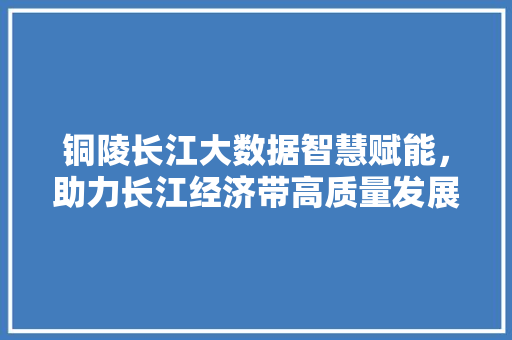铜陵长江大数据智慧赋能，助力长江经济带高质量发展