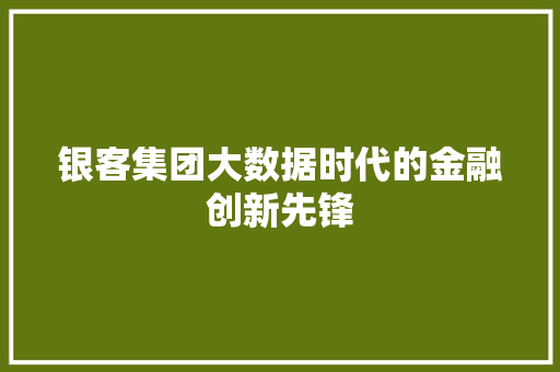 银客集团大数据时代的金融创新先锋