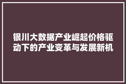 银川大数据产业崛起价格驱动下的产业变革与发展新机遇