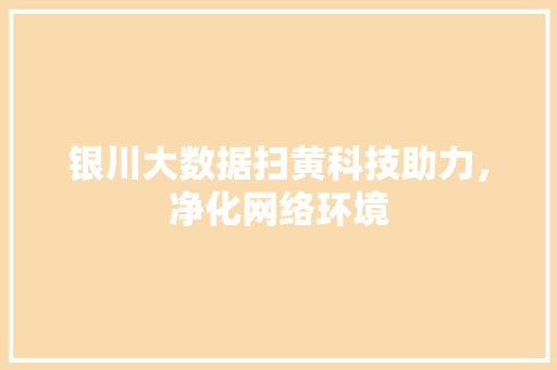 银川大数据扫黄科技助力，净化网络环境