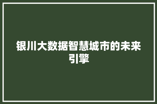 银川大数据智慧城市的未来引擎