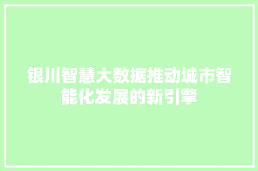 银川智慧大数据推动城市智能化发展的新引擎