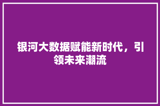 银河大数据赋能新时代，引领未来潮流