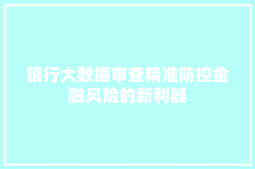 银行大数据审查精准防控金融风险的新利器