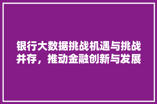 银行大数据挑战机遇与挑战并存，推动金融创新与发展