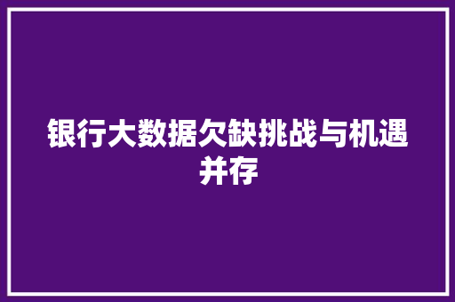 银行大数据欠缺挑战与机遇并存