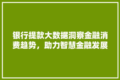 银行提款大数据洞察金融消费趋势，助力智慧金融发展 SEO教程