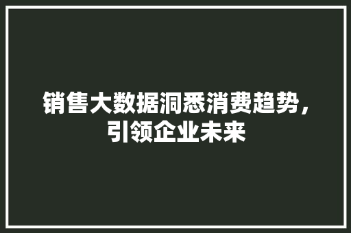 销售大数据洞悉消费趋势，引领企业未来
