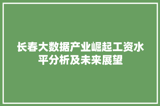 长春大数据产业崛起工资水平分析及未来展望
