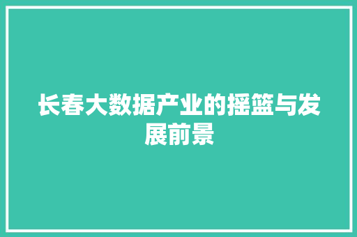 长春大数据产业的摇篮与发展前景