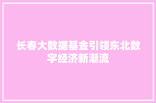 长春大数据基金引领东北数字经济新潮流