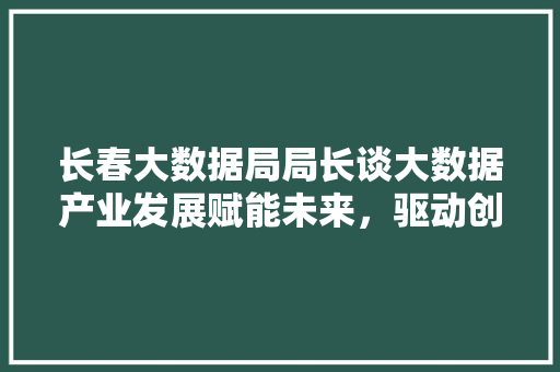 长春大数据局局长谈大数据产业发展赋能未来，驱动创新 SEO教程