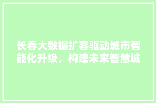 长春大数据扩容驱动城市智能化升级，构建未来智慧城市新格局