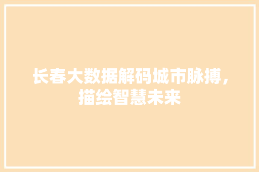 长春大数据解码城市脉搏，描绘智慧未来 SEO教程