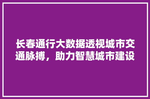 长春通行大数据透视城市交通脉搏，助力智慧城市建设