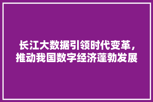 长江大数据引领时代变革，推动我国数字经济蓬勃发展