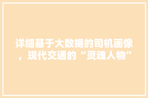 详细基于大数据的司机画像，现代交通的“灵魂人物”