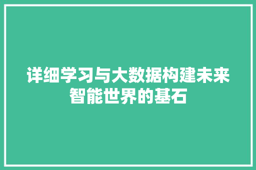 详细学习与大数据构建未来智能世界的基石 Web前端