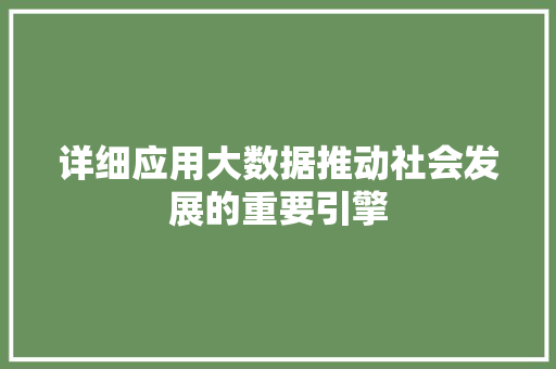 详细应用大数据推动社会发展的重要引擎