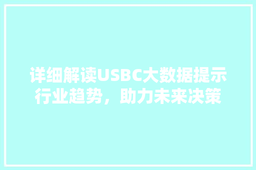 详细解读USBC大数据提示行业趋势，助力未来决策