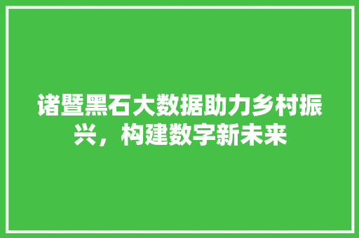 诸暨黑石大数据助力乡村振兴，构建数字新未来
