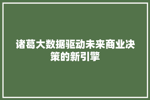 诸葛大数据驱动未来商业决策的新引擎