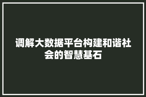 调解大数据平台构建和谐社会的智慧基石