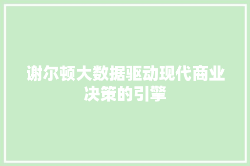 谢尔顿大数据驱动现代商业决策的引擎