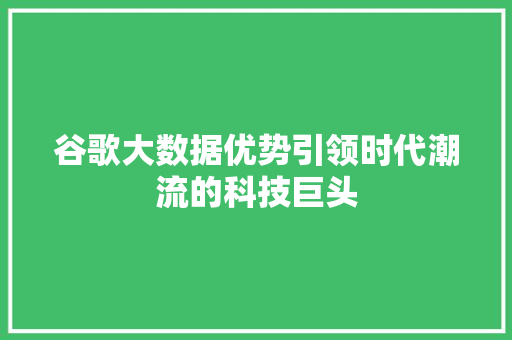 谷歌大数据优势引领时代潮流的科技巨头