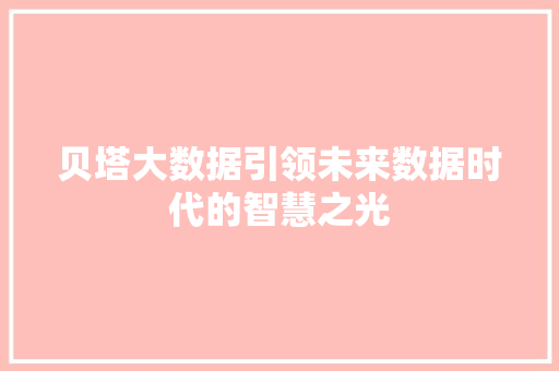 贝塔大数据引领未来数据时代的智慧之光