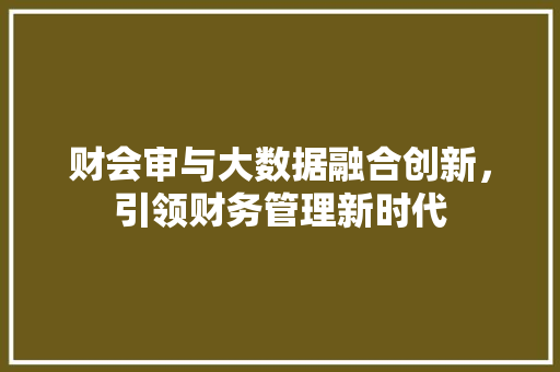 财会审与大数据融合创新，引领财务管理新时代