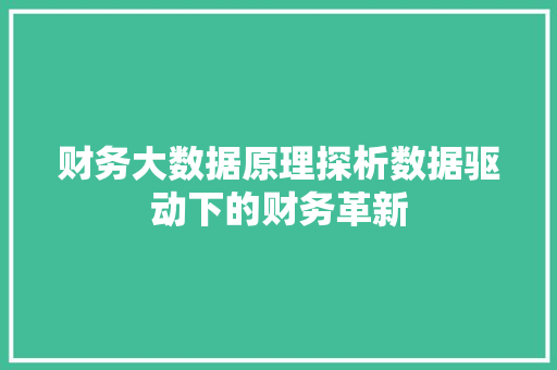 财务大数据原理探析数据驱动下的财务革新