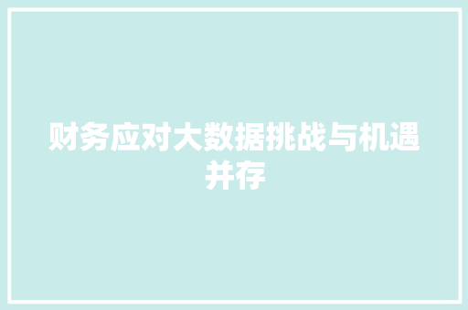 财务应对大数据挑战与机遇并存