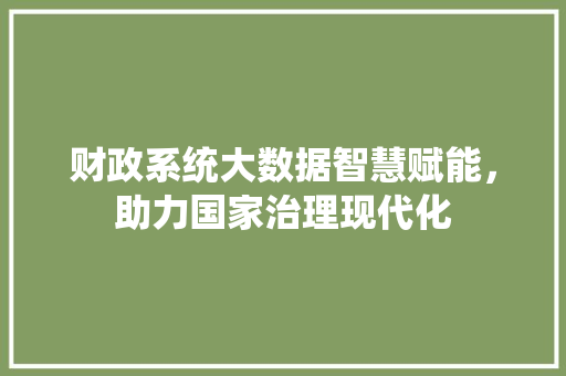 财政系统大数据智慧赋能，助力国家治理现代化