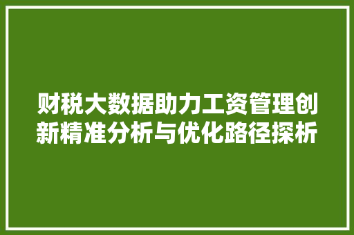 财税大数据助力工资管理创新精准分析与优化路径探析