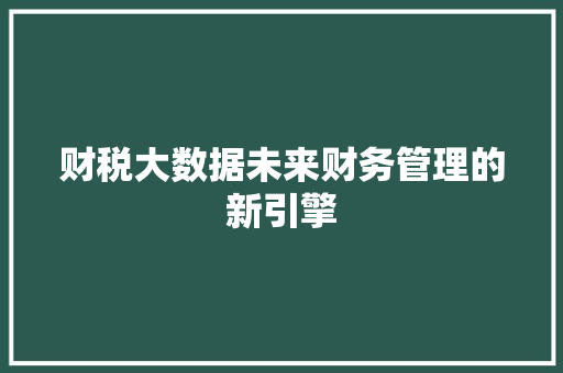 财税大数据未来财务管理的新引擎