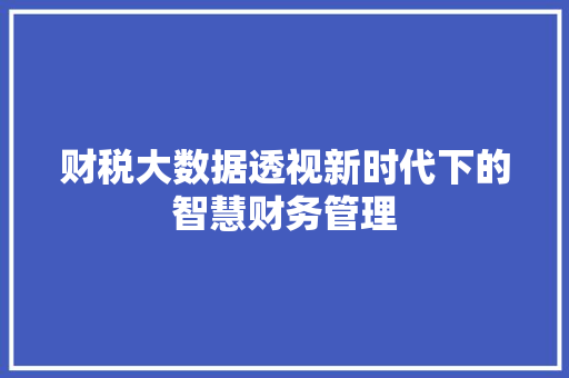 财税大数据透视新时代下的智慧财务管理